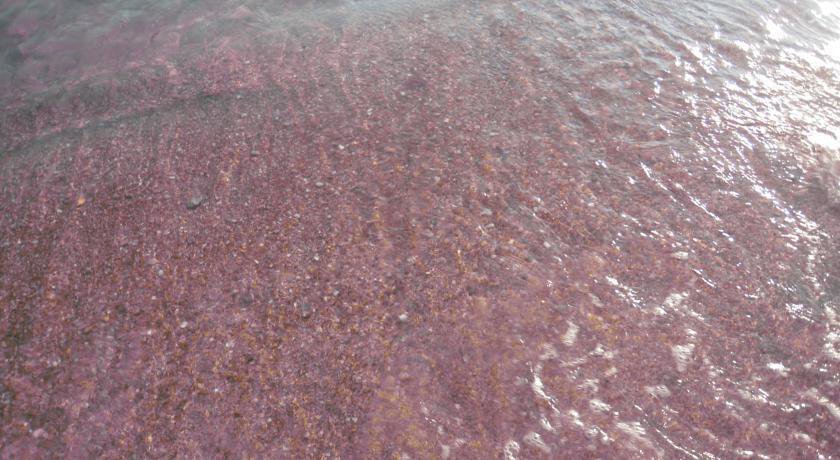 Гостевой дом Теремок Заозёрное-65